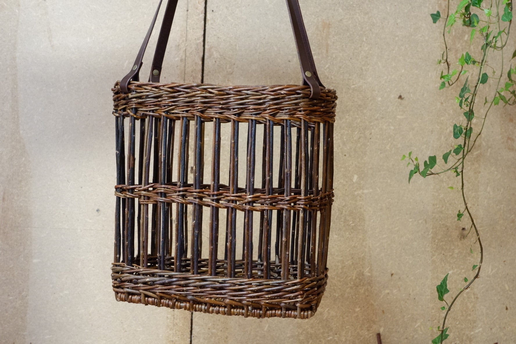 KURVVESKE FITCHA RØD AMERIKANER I