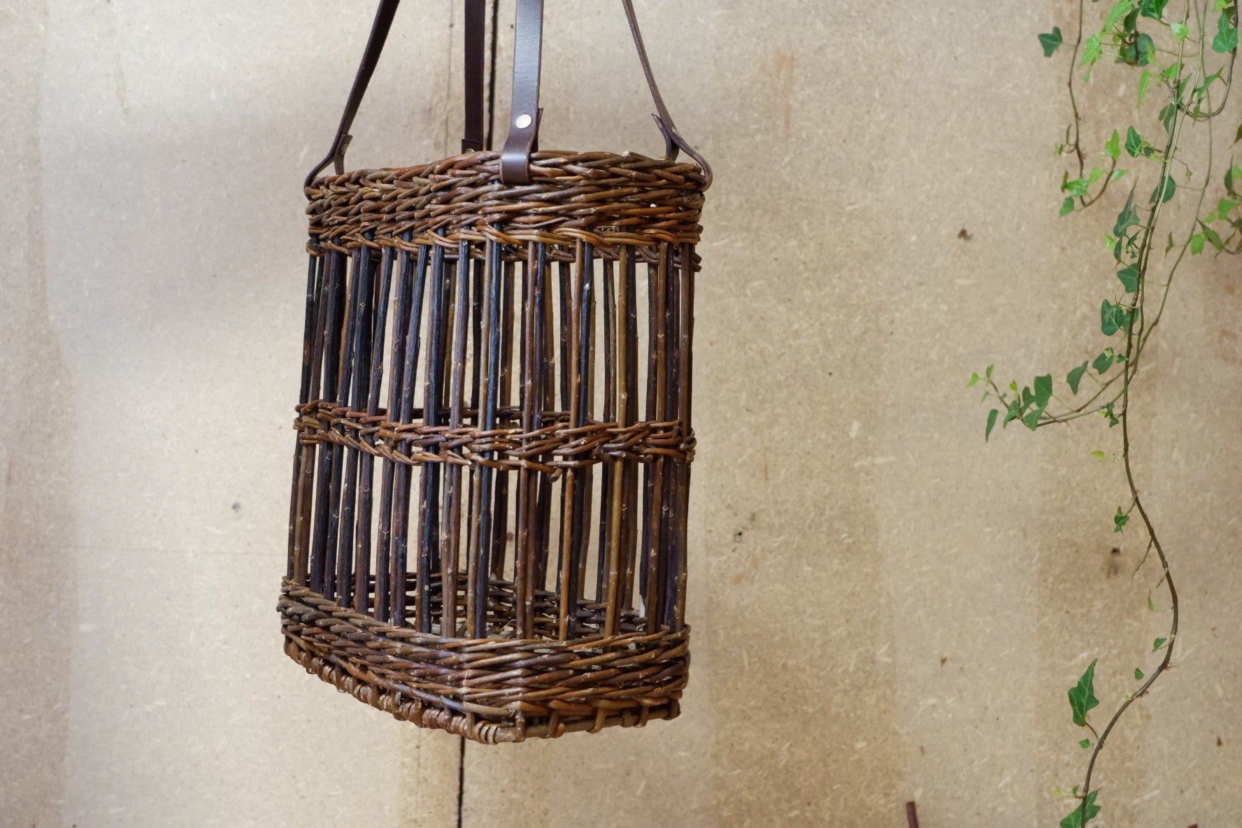 KURVVESKE FITCHA RØD AMERIKANER I