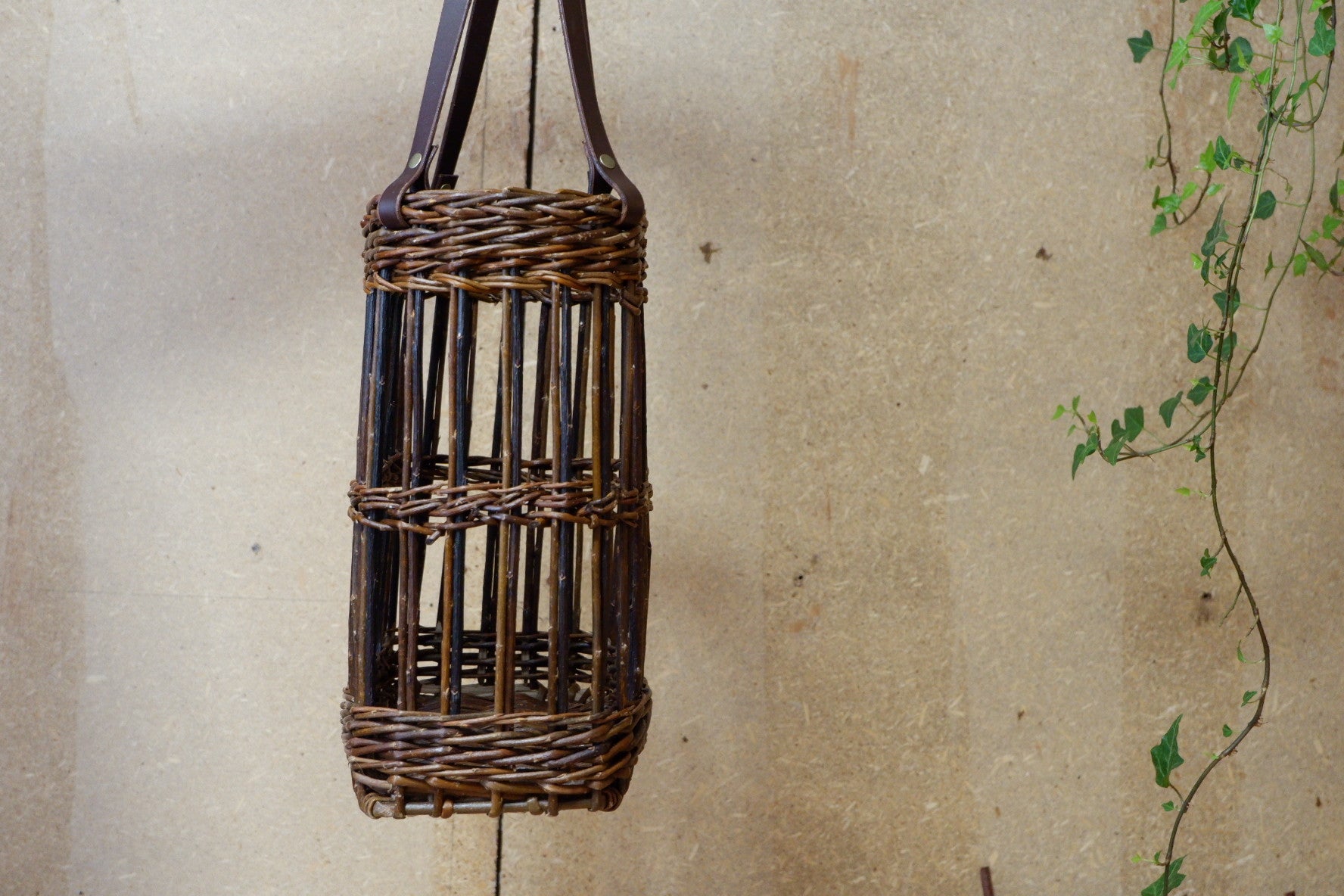 KURVVESKE FITCHA RØD AMERIKANER I