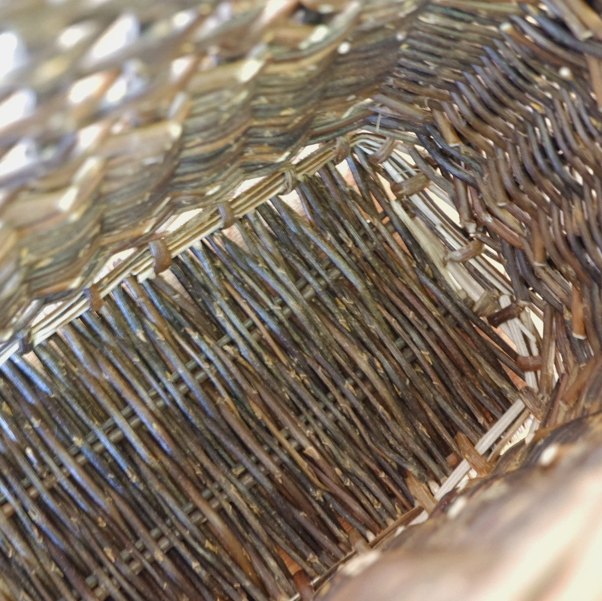 KURVVESKE RØD BELGIER II