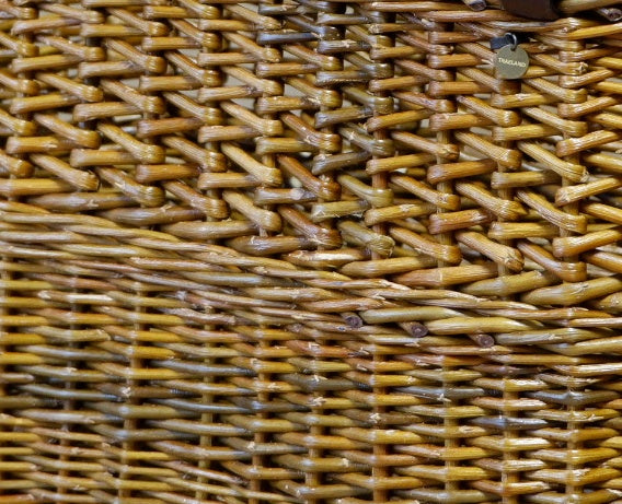 KURVVESKE RØD BELGIER V